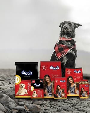 Pet Food